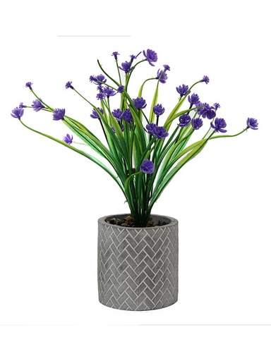 [MCC7055] Camelia en Maceta Ceramica