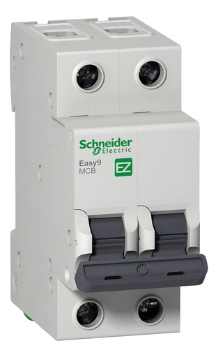 [EZ9F34220] Termica Easy9 2x20A Schneider